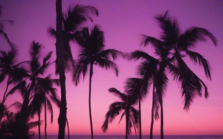 Abstract photograph of palm fronds silhouetted against a violet and sunset-pink dusk sky in soft haze